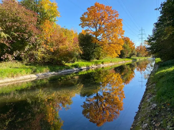 Early Autumn Landscape Glatt River Its Embankment City Zurich Zuerich — Stock Photo, Image