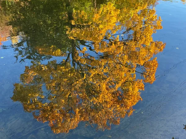 Ένα Πρώιμο Φθινοπωρινό Τοπίο Κατά Μήκος Του Ποταμού Glatt Και — Φωτογραφία Αρχείου