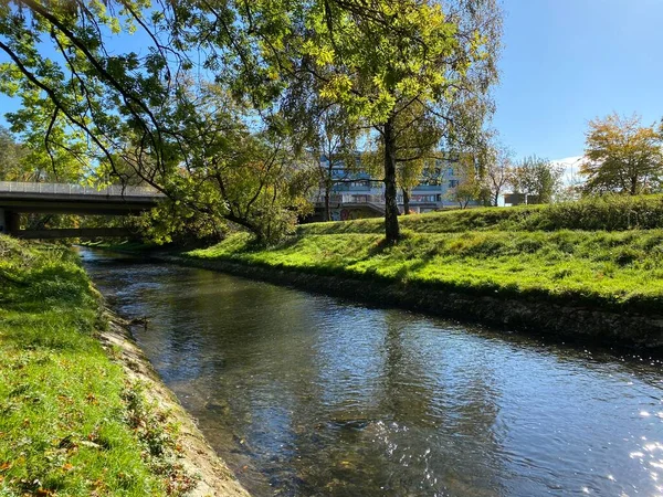 Early Autumn Landscape Glatt River Its Embankment City Zurich Zuerich — Stock Photo, Image