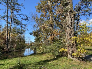 Wallisellen veya Grindel Naturschutz Gebiet - Zürih (Zuerich), Wallisellen, İsviçre (Schweiz)