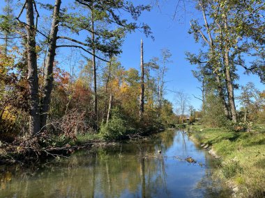 Wallisellen veya Grindel Naturschutz Gebiet - Zürih (Zuerich), Wallisellen, İsviçre (Schweiz)