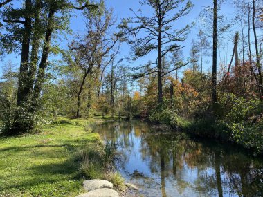 Wallisellen veya Grindel Naturschutz Gebiet - Zürih (Zuerich), Wallisellen, İsviçre (Schweiz)