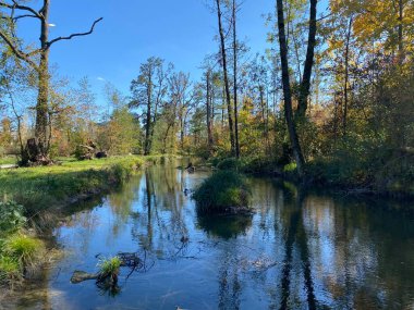 Wallisellen veya Grindel Naturschutz Gebiet - Zürih (Zuerich), Wallisellen, İsviçre (Schweiz)