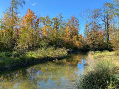 Wallisellen veya Grindel Naturschutz Gebiet - Zürih (Zuerich), Wallisellen, İsviçre (Schweiz)