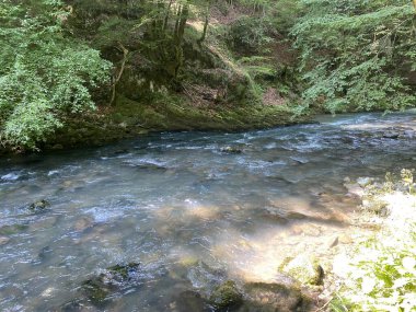 Gorski kotar 'daki Zeleni vir piknik alanı yakınlarındaki Curak deresi - Vrbovsko, Hırvatistan (Potok Curak kod izletista Zeleni vir u Gorskom kotaru - Vrbovsko, Hrvatska)