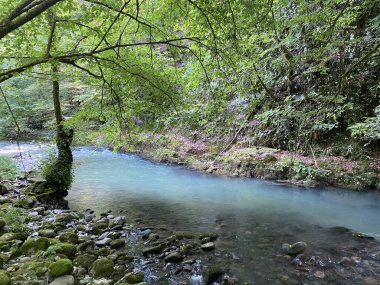 Gorski kotar 'daki Zeleni vir piknik alanı yakınlarındaki Curak deresi - Vrbovsko, Hırvatistan (Potok Curak kod izletista Zeleni vir u Gorskom kotaru - Vrbovsko, Hrvatska)