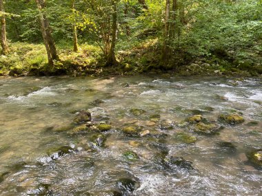 Gorski kotar 'daki Zeleni vir piknik alanı yakınlarındaki Curak deresi - Vrbovsko, Hırvatistan (Potok Curak kod izletista Zeleni vir u Gorskom kotaru - Vrbovsko, Hrvatska)