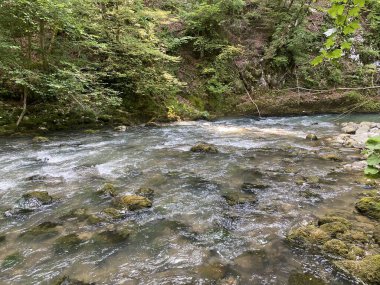 Gorski kotar 'daki Zeleni vir piknik alanı yakınlarındaki Curak deresi - Vrbovsko, Hırvatistan (Potok Curak kod izletista Zeleni vir u Gorskom kotaru - Vrbovsko, Hrvatska)
