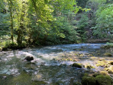 Gorski kotar 'daki Zeleni vir piknik alanı yakınlarındaki Curak deresi - Vrbovsko, Hırvatistan (Potok Curak kod izletista Zeleni vir u Gorskom kotaru - Vrbovsko, Hrvatska)