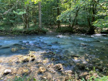 Gorski kotar 'daki Zeleni vir piknik alanı yakınlarındaki Curak deresi - Vrbovsko, Hırvatistan (Potok Curak kod izletista Zeleni vir u Gorskom kotaru - Vrbovsko, Hrvatska)