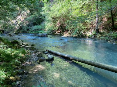 Gorski kotar 'daki Zeleni vir piknik alanı yakınlarındaki Curak deresi - Vrbovsko, Hırvatistan (Potok Curak kod izletista Zeleni vir u Gorskom kotaru - Vrbovsko, Hrvatska)