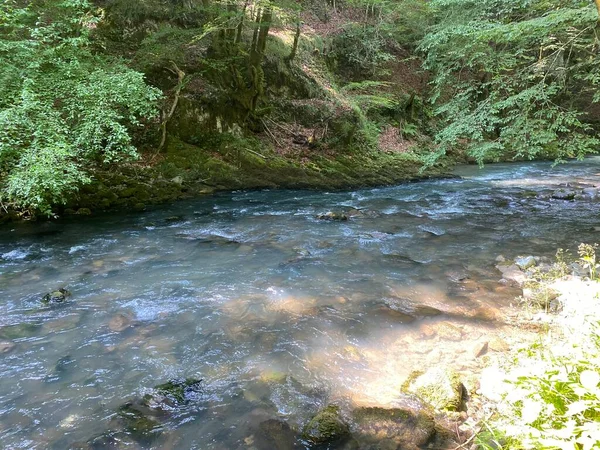 Curak Stream Zeleni Vir Picnic Area Gorski Kotar Vrbovsko Horvátország — Stock Fotó