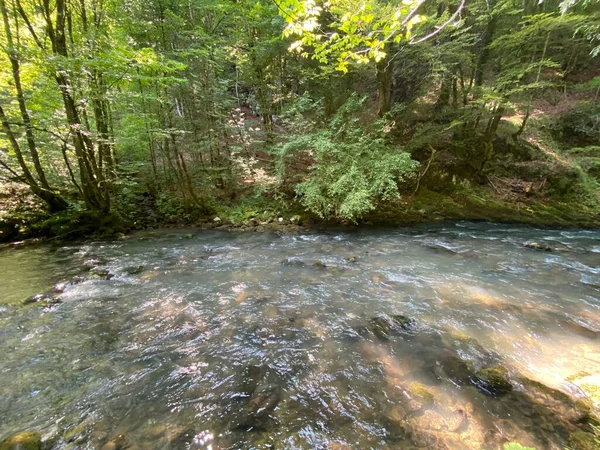 Gorski kotar 'daki Zeleni vir piknik alanı yakınlarındaki Curak deresi - Vrbovsko, Hırvatistan (Potok Curak kod izletista Zeleni vir u Gorskom kotaru - Vrbovsko, Hrvatska)