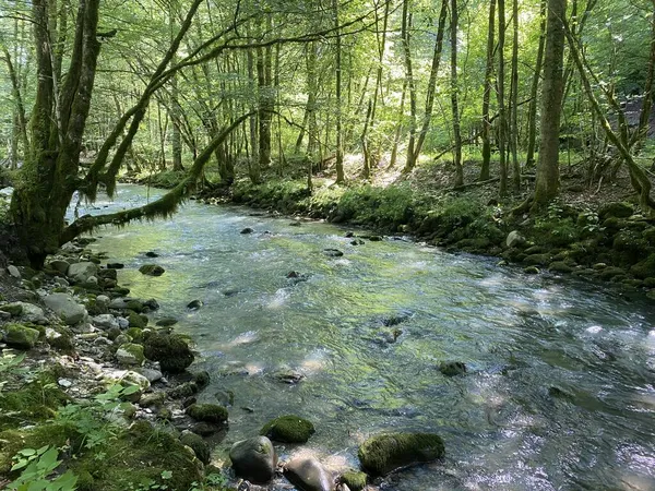 Curak Stream Zeleni Vir Picnic Area Gorski Kotar Vrbovsko Croatia — Stock fotografie