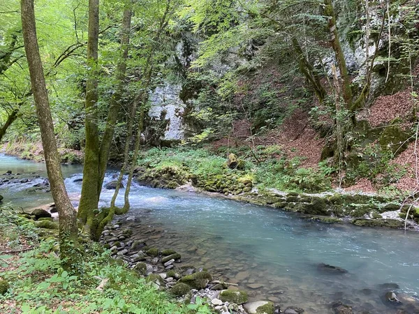 Curak Stream Zeleni Vir Picnic Area Gorski Kotar Vrbovsko Croácia — Fotografia de Stock