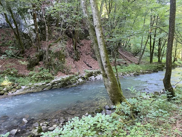 Gorski kotar 'daki Zeleni vir piknik alanı yakınlarındaki Curak deresi - Vrbovsko, Hırvatistan (Potok Curak kod izletista Zeleni vir u Gorskom kotaru - Vrbovsko, Hrvatska)