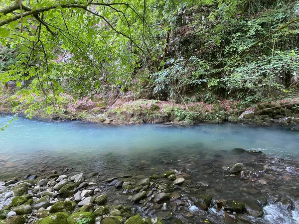 Gorski kotar 'daki Zeleni vir piknik alanı yakınlarındaki Curak deresi - Vrbovsko, Hırvatistan (Potok Curak kod izletista Zeleni vir u Gorskom kotaru - Vrbovsko, Hrvatska)