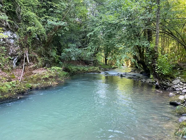 Gorski kotar 'daki Zeleni vir piknik alanı yakınlarındaki Curak deresi - Vrbovsko, Hırvatistan (Potok Curak kod izletista Zeleni vir u Gorskom kotaru - Vrbovsko, Hrvatska)