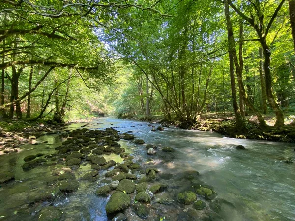 Gorski Kotar Daki Zeleni Vir Piknik Alanı Yakınlarındaki Curak Deresi — Stok fotoğraf