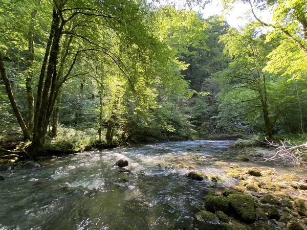 Curak Stream Zeleni Vir Picnic Area Gorski Kotar Vrbovsko Croatia — Stock Photo, Image