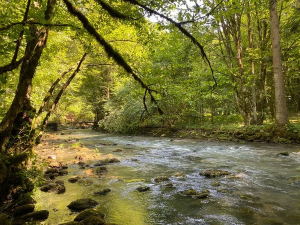 Curak Stream Zeleni Vir Picnic Area Gorski Kotar Vrbovsko Croatia — Stock fotografie