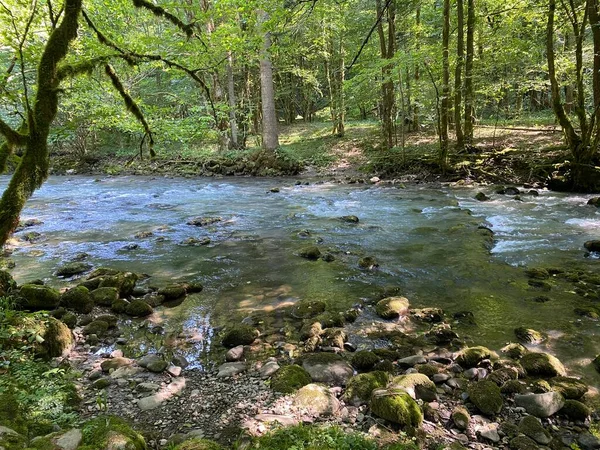 Gorski kotar 'daki Zeleni vir piknik alanı yakınlarındaki Curak deresi - Vrbovsko, Hırvatistan (Potok Curak kod izletista Zeleni vir u Gorskom kotaru - Vrbovsko, Hrvatska)