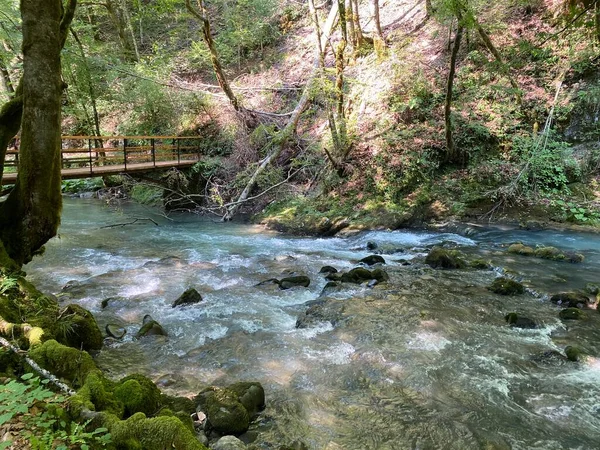 Curak Beek Bij Zeleni Vir Picknickplaats Gorski Kotar Vrbovsko Kroatië — Stockfoto