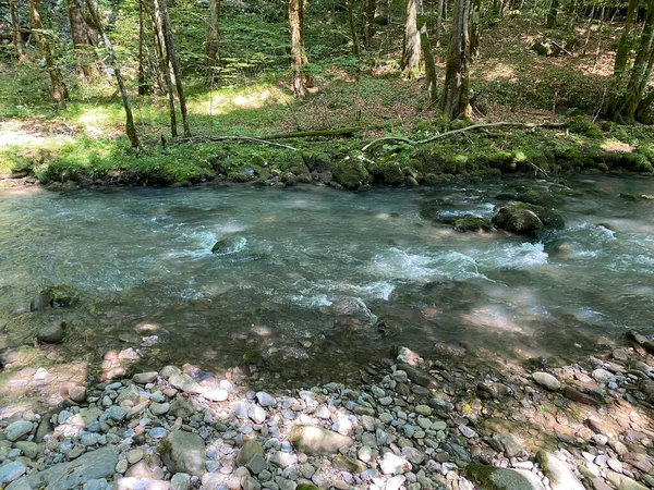 Curak Beek Bij Zeleni Vir Picknickplaats Gorski Kotar Vrbovsko Kroatië — Stockfoto