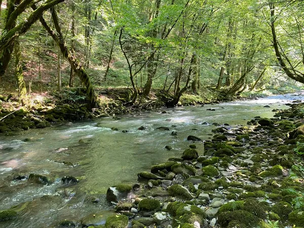 Curak Stream Zeleni Vir Picnic Area Gorski Kotar Vrbovsko Croácia — Fotografia de Stock