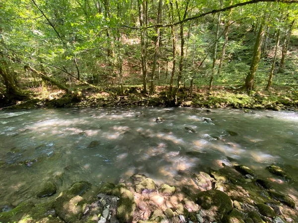 Gorski kotar 'daki Zeleni vir piknik alanı yakınlarındaki Curak deresi - Vrbovsko, Hırvatistan (Potok Curak kod izletista Zeleni vir u Gorskom kotaru - Vrbovsko, Hrvatska)