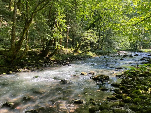 Curak Stream Zeleni Vir Picnic Area Gorski Kotar Vrbovsko Croatia — стокове фото