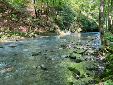 Gorski kotar 'daki Zeleni vir piknik alanı yakınlarındaki Curak deresi - Vrbovsko, Hırvatistan (Potok Curak kod izletista Zeleni vir u Gorskom kotaru - Vrbovsko, Hrvatska)