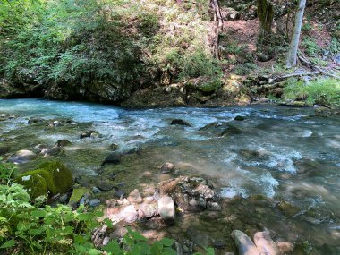 Gorski kotar 'daki Zeleni vir piknik alanı yakınlarındaki Curak deresi - Vrbovsko, Hırvatistan (Potok Curak kod izletista Zeleni vir u Gorskom kotaru - Vrbovsko, Hrvatska)