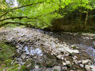Gorski kotar 'daki Zeleni vir piknik alanı yakınlarındaki Curak deresi - Vrbovsko, Hırvatistan (Potok Curak kod izletista Zeleni vir u Gorskom kotaru - Vrbovsko, Hrvatska)