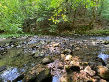 Gorski kotar 'daki Zeleni vir piknik alanı yakınlarındaki Curak deresi - Vrbovsko, Hırvatistan (Potok Curak kod izletista Zeleni vir u Gorskom kotaru - Vrbovsko, Hrvatska)
