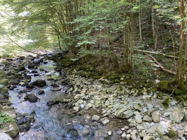 Gorski kotar 'daki Zeleni vir piknik alanı yakınlarındaki Curak deresi - Vrbovsko, Hırvatistan (Potok Curak kod izletista Zeleni vir u Gorskom kotaru - Vrbovsko, Hrvatska)