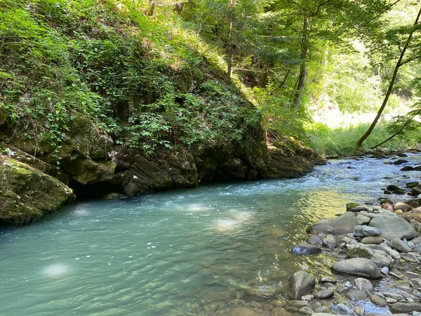 Curak Stream Zeleni Vir Picnic Area Gorski Kotar Vrbovsko Horvátország — Stock Fotó