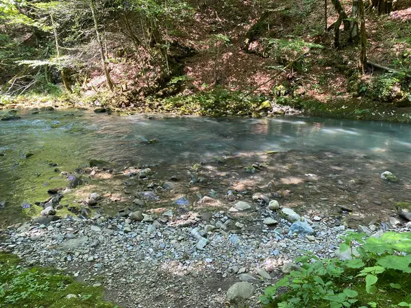 Curak Stream Zeleni Vir Picnic Area Gorski Kotar Vrbovsko Croácia — Fotografia de Stock