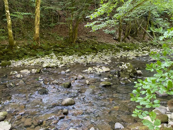 Curak Beek Bij Zeleni Vir Picknickplaats Gorski Kotar Vrbovsko Kroatië — Stockfoto