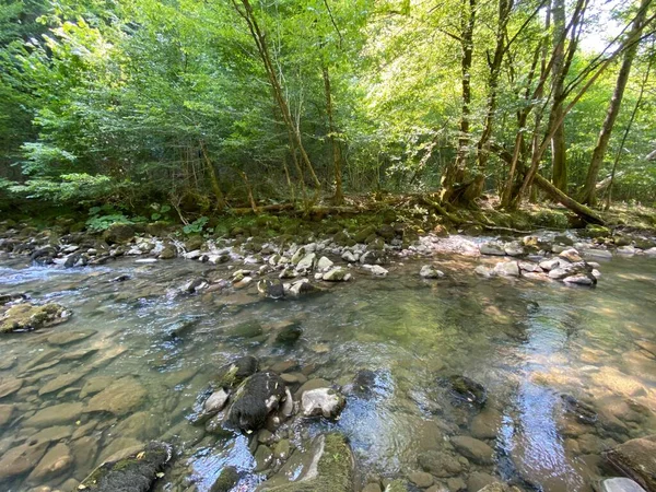 Fluss Curak Der Nähe Des Picknickplatzes Zeleni Vir Gorski Kotar — Stockfoto