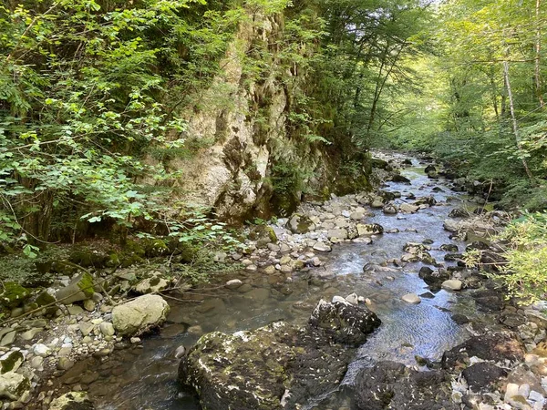 Gorski Kotar Daki Zeleni Vir Piknik Alanı Yakınlarındaki Curak Deresi — Stok fotoğraf