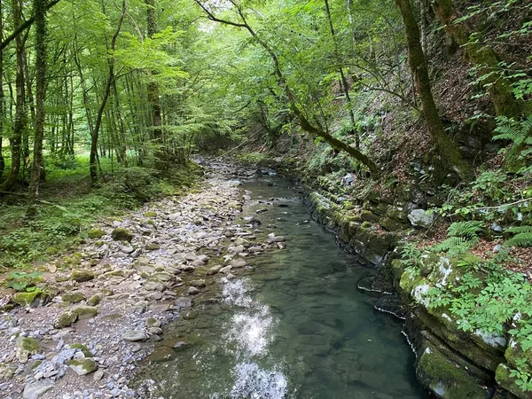 Curak Stream Zeleni Vir Picnic Area Gorski Kotar Vrbovsko Croatia — Stock Photo, Image