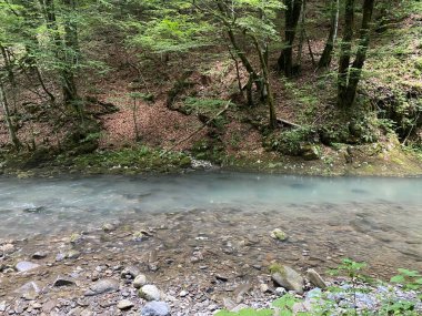 Gorski kotar 'daki Zeleni vir piknik alanı yakınlarındaki Curak deresi - Vrbovsko, Hırvatistan (Potok Curak kod izletista Zeleni vir u Gorskom kotaru - Vrbovsko, Hrvatska)