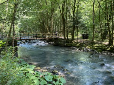Gorski kotar 'daki Zeleni vir piknik alanı yakınlarındaki Curak deresi boyunca gezinti - Vrbovsko, Hırvatistan (Setnica uz potok Curak kod izletista Zeleni vir u Gorskom kotaru - Vrbovsko, Hrvatska)