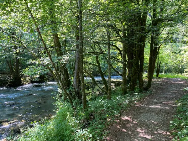 Promenade Langs Curak Bij Zeleni Vir Picknickplaats Gorski Kotar Vrbovsko — Stockfoto