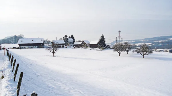 人工湖Guebsensee またはGubsensee でリゾート周辺のバレンタインデーのための新鮮な白い毛布と冬の雰囲気 カントン セントガレン スイス — ストック写真
