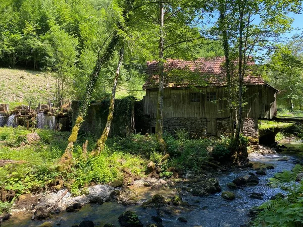 Ancienne Scierie Avec Turbine Eau Moulin Famille Kovac Zamost Gorski — Photo