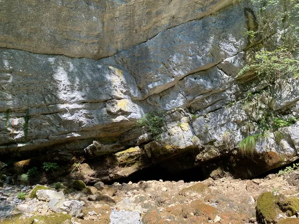 Origen Del Río Gerovcica Zamost Región Gorski Kotar Croacia Izvor — Foto de Stock