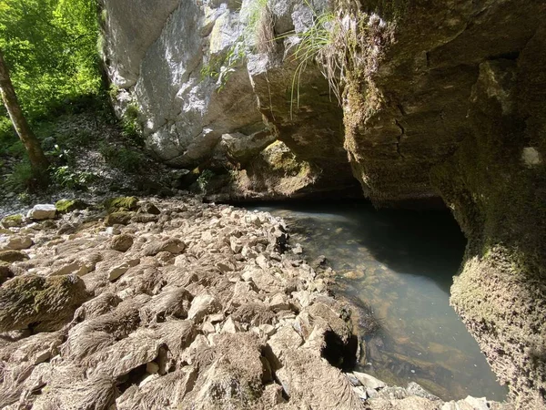 Πηγή Του Ποταμού Gerovcica Zamost Περιφέρεια Gorski Kotar Κροατία Izvor — Φωτογραφία Αρχείου