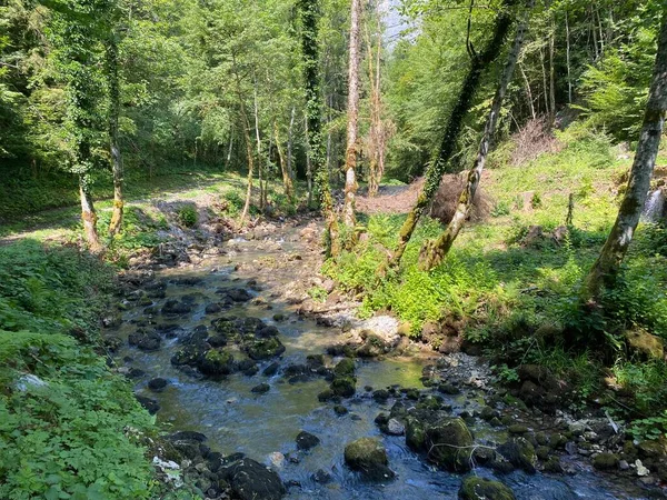 Mała Górska Rzeka Gerovcica Zamost Region Gorski Kotar Chorwacja Mala — Zdjęcie stockowe